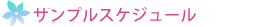 サンプルスケジュール