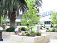 John Curtin College of the Arts(ジョン・カーティン・カレッジ・オブ・アーツ)